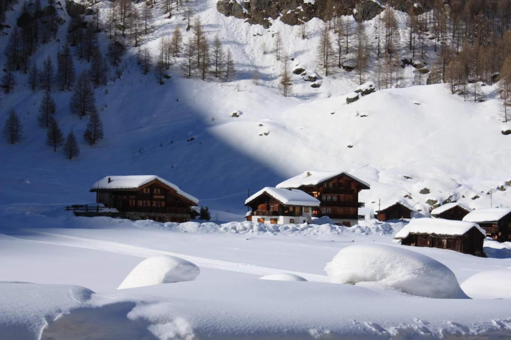 Le Panorama - Appartement 54 A Arolla Face Aux Montagnes A 150M Des Pistes Эволен Экстерьер фото